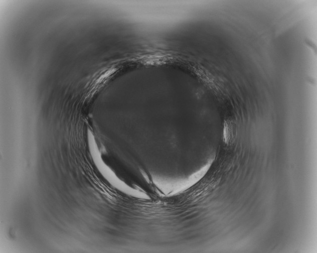 X0000097851444200804111117