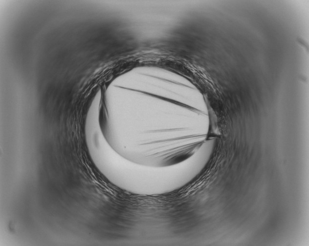 X0000097851445200804111117