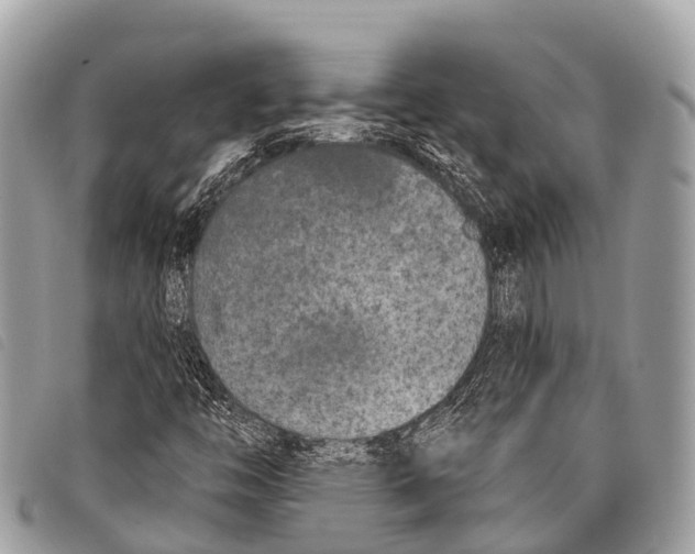 X0000097851446200804111117