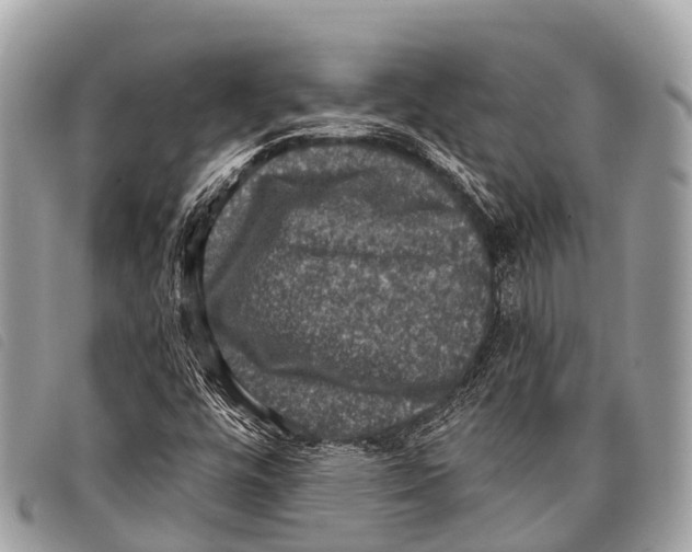 X0000097851448200804111117