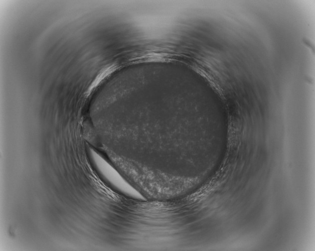 X0000097851450200804111117