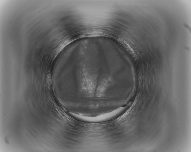 X0000097851457200804111117