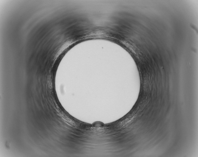 X0000097851458200804111117