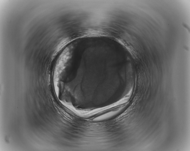 X0000097851459200804111117