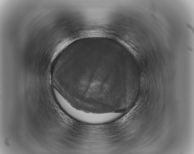 X0000097851461200804111117