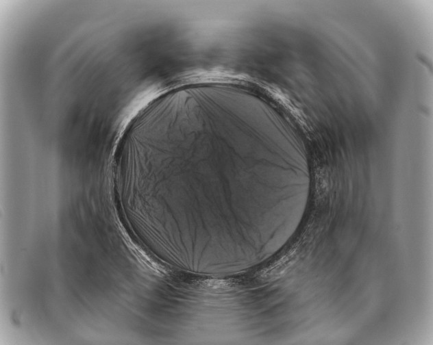 X0000097851463200804111117