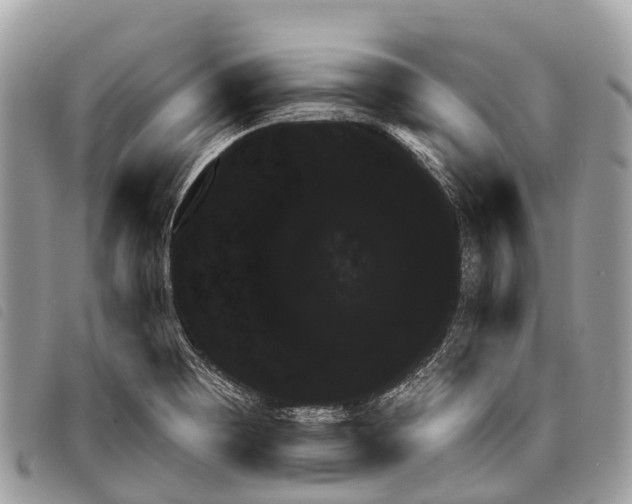 X0000097851465200804111117