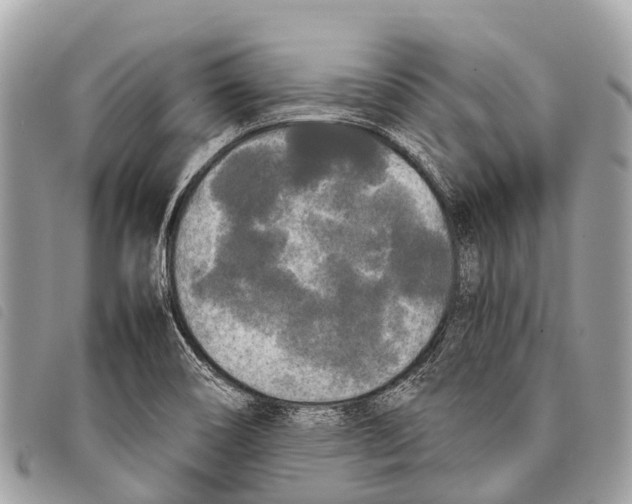 X0000097851466200804111117