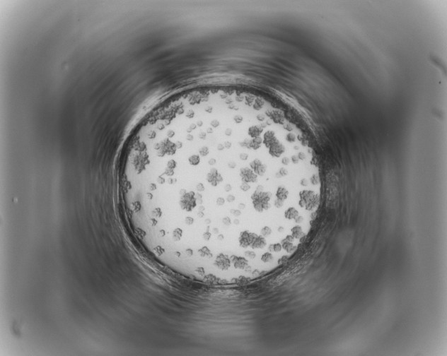 X0000097851467200804111117