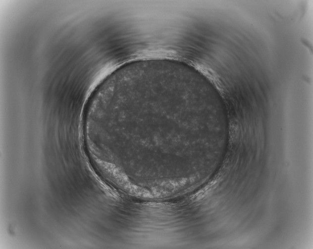 X0000097851469200804111117