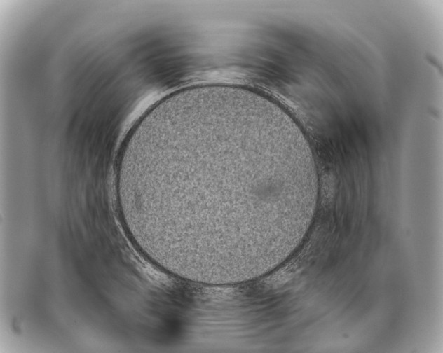 X0000097851470200804111117