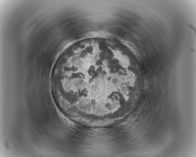 X0000097851471200804111117