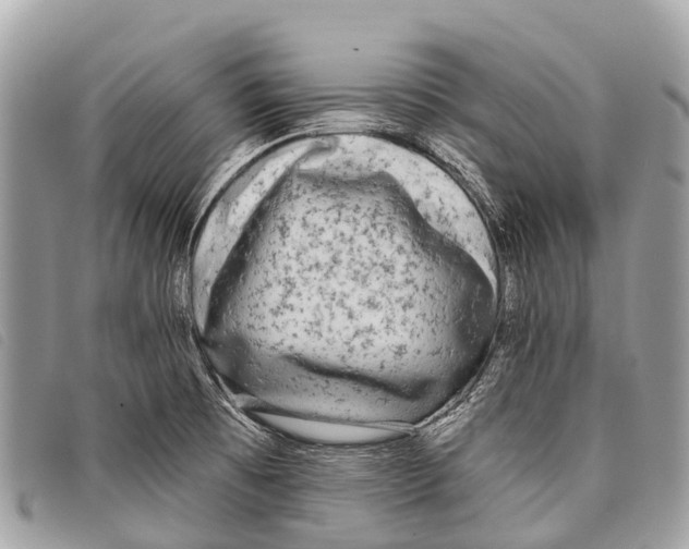 X0000097851473200804111117