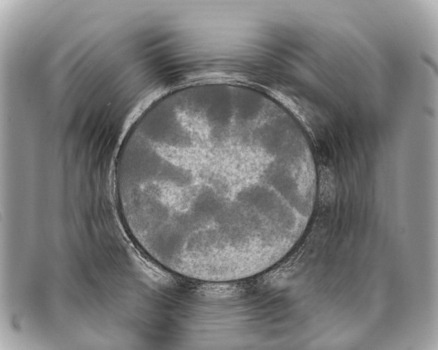 X0000097851474200804111117