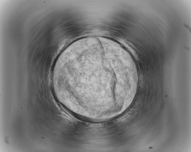 X0000097851477200804111116