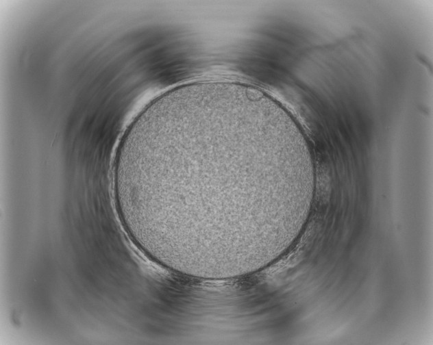 X0000097851478200804111116