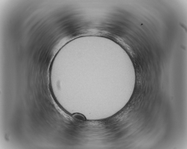 X0000097851479200804111116