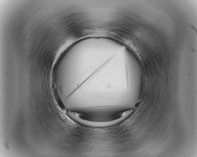 X0000097851480200804111116