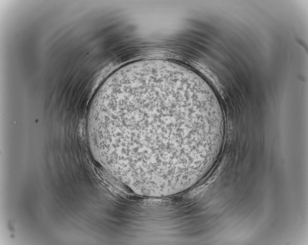 X0000097851481200804111116