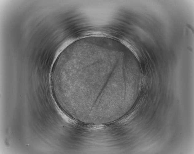 X0000097851482200804111116