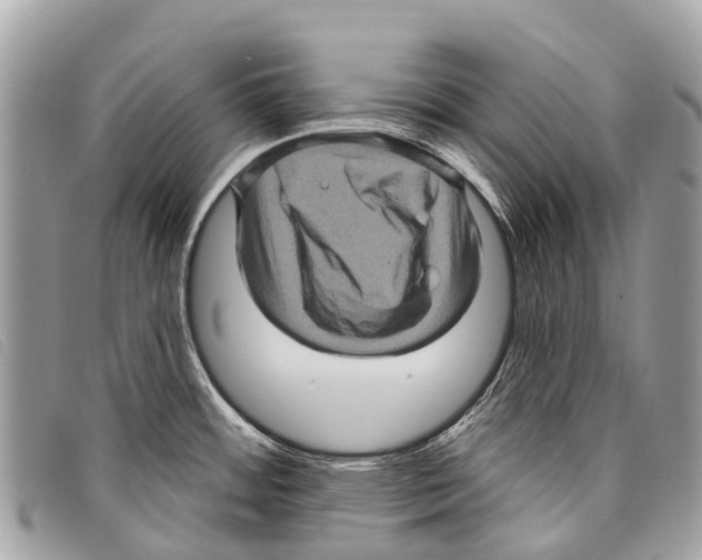 X0000097851484200804111116