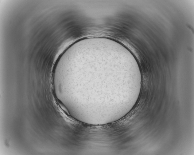 X0000097851485200804111116