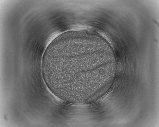 X0000097851487200804111116