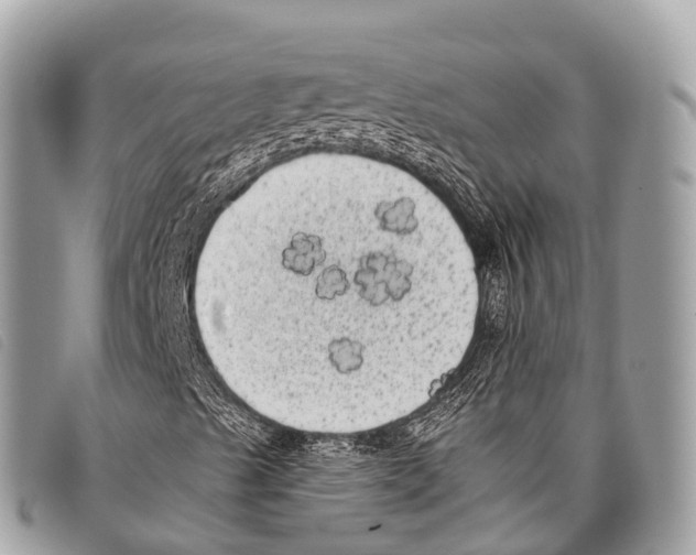 X0000097851489200804111116