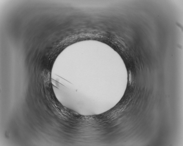 X0000097851492200804111116