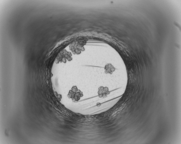 X0000097851494200804111116