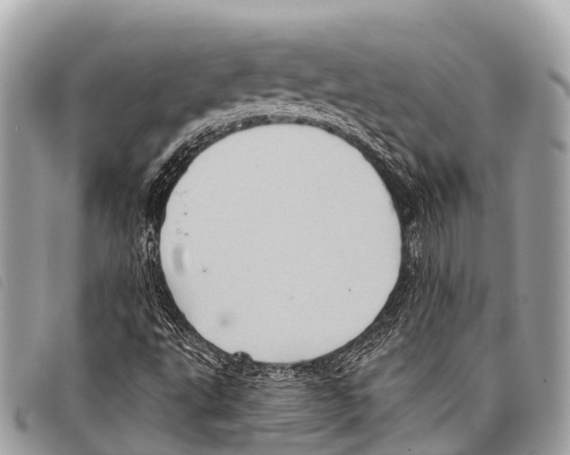 X0000097851495200804111116