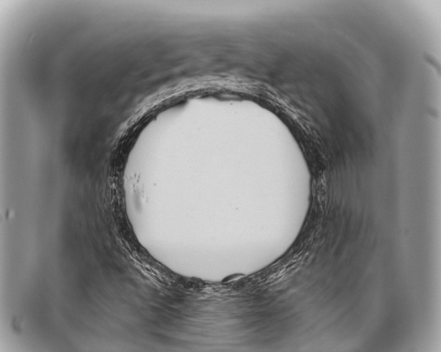 X0000097851496200804111116