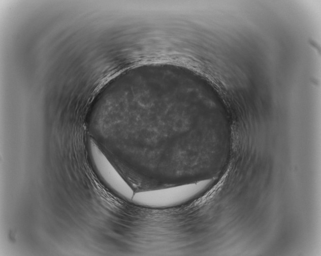 X0000097851497200804111116