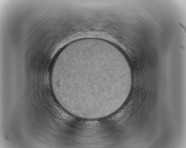 X0000097851498200804111116