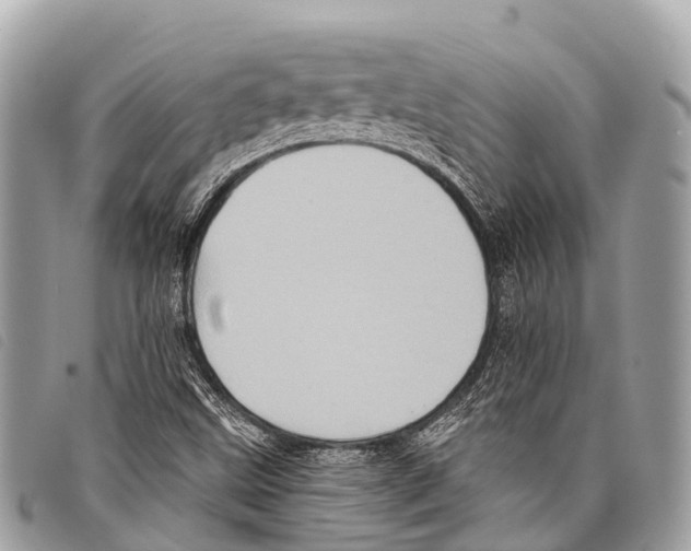 X0000097851499200804111116