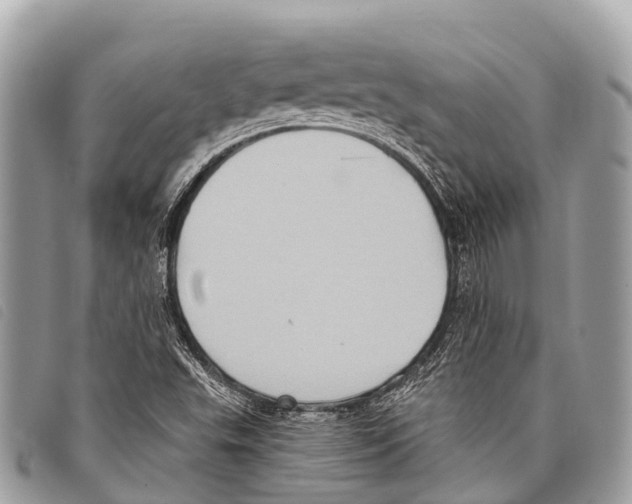 X0000097851503200804111116