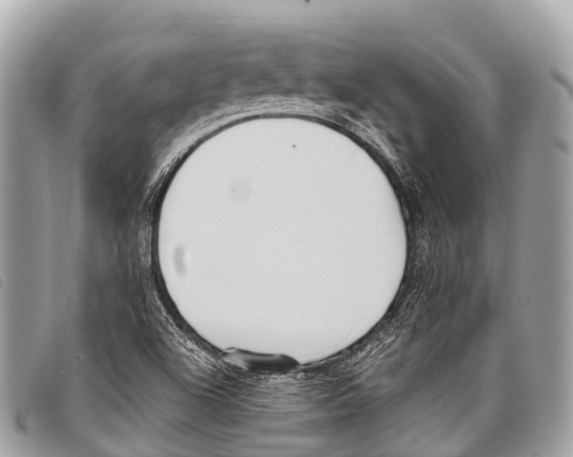 X0000097851504200804111116