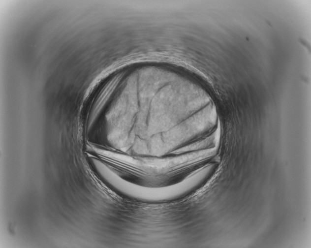 X0000097851506200804111116