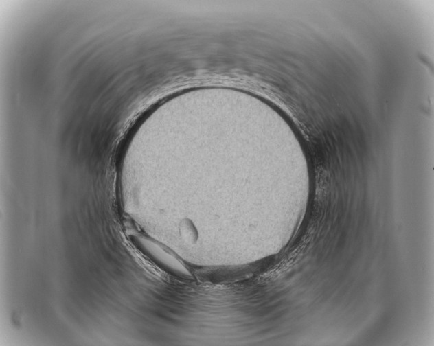 X0000097851507200804111116