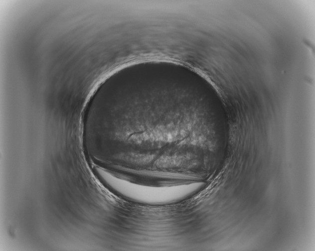 X0000097851508200804111116