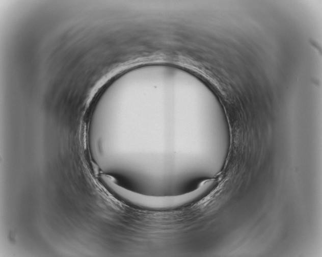 X0000097851510200804111116