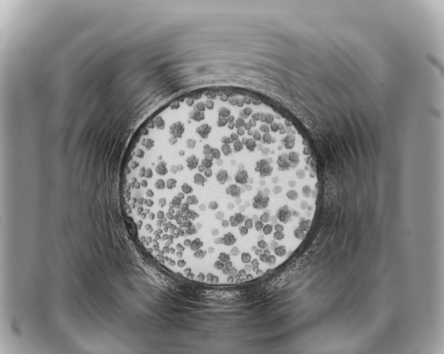 X0000097851513200804111116