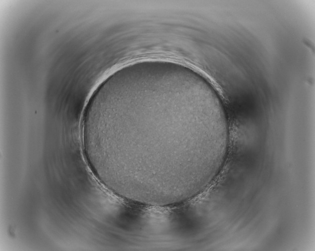 X0000097851514200804111116