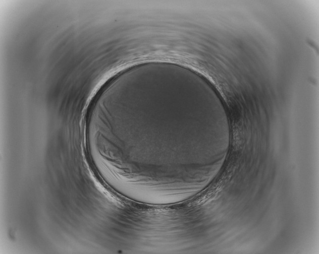 X0000097851515200804111116