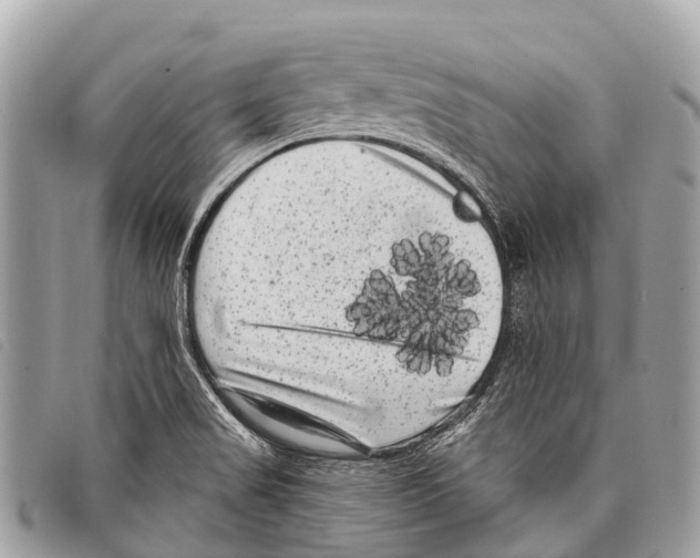 X0000097851517200804111116