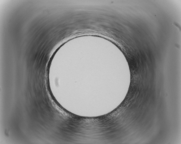 X0000097851518200804111116