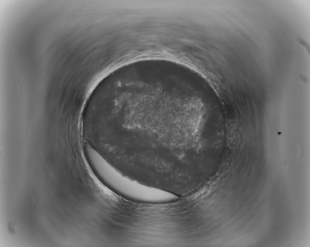 X0000097851519200804111116