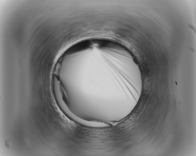 X0000097851520200804111116