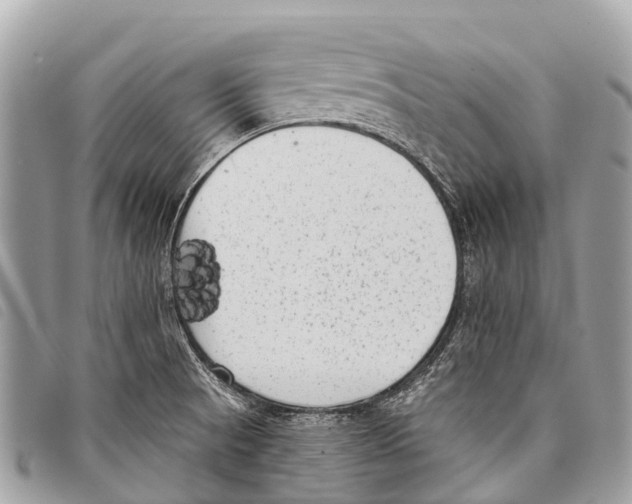 X0000097851521200804111116