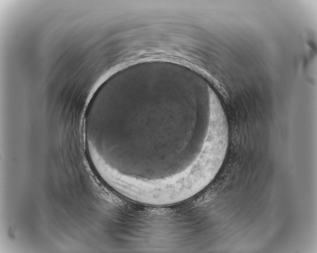 X0000097851522200804111116